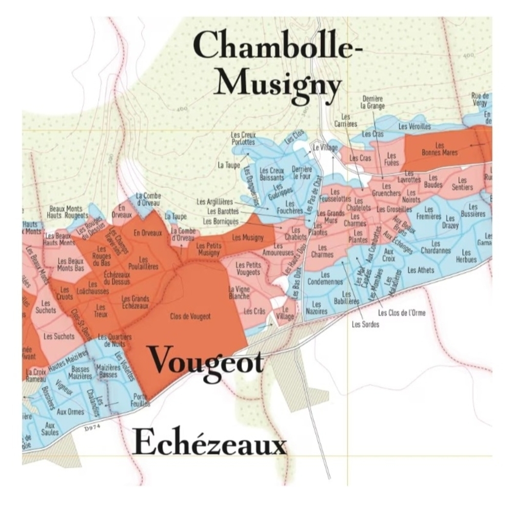NIB. Maps Of Climats De Bourgogne - France Wine Region Wall Art - Without Frame - Picture 4 of 9
